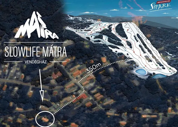 Slowlife Matra *