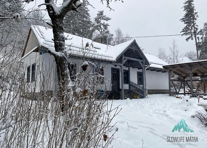 Slowlife Matra Willa *